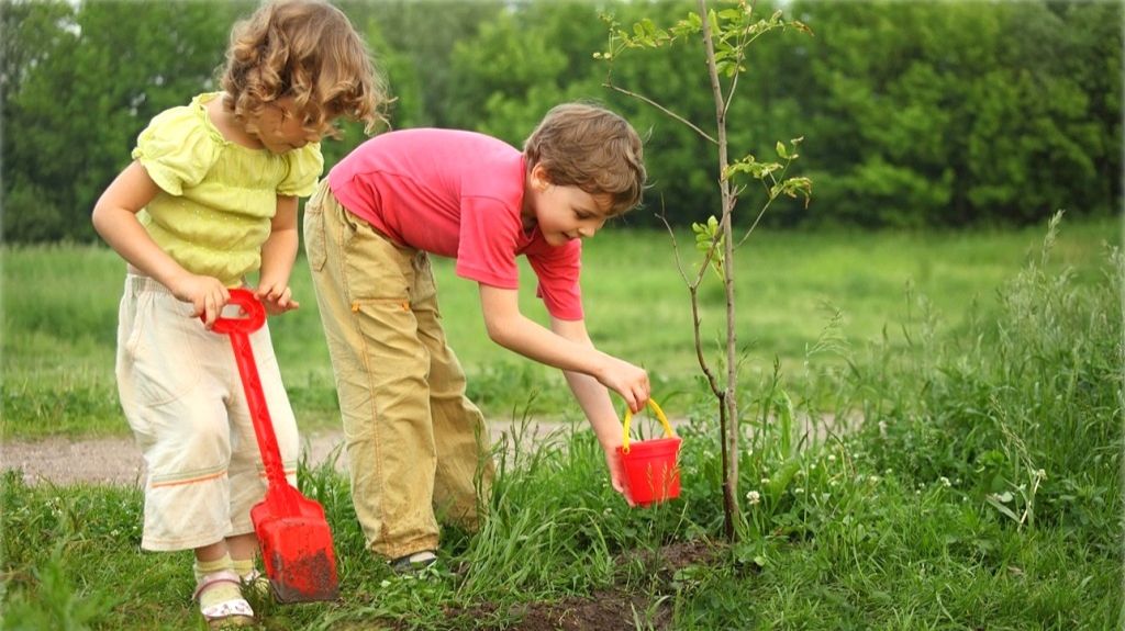 ЧТО ПОСЕЕШЬ, ТО И ПОЖНЕШЬ.