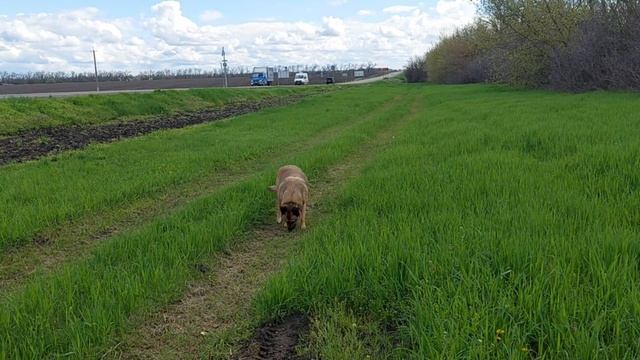 ОСТАНОВИЛИСЬ ГДЕ ТО ПОД КРАСНОДАРОМ.