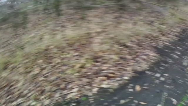 Охота на зайца.