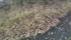 Охота на зайца.