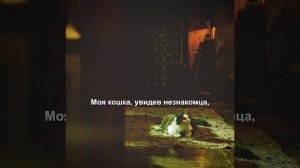 краткий пересказ фильма