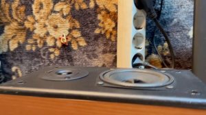 Тест диффузора орехом макадамия