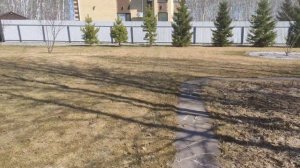 нашли пасхальные яйца?!!!