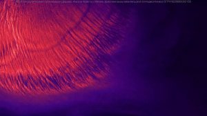 Воскресное богослужение 12.04.2026