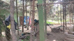 Душанбе 04.04.2026 Ботанический сад, Павлины 🦚 🇹🇯
