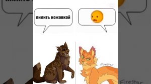 ХАХАХАХААХХАХ || Коты-Воители