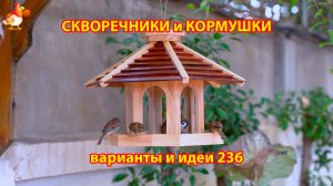 Скворечники и кормушки своими руками для птиц (236) 🪚🪛🔨 Идеи для дачи и сада пошагово ❣️