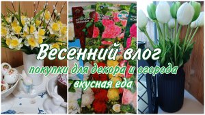 Обновила декор, заказала полезные вещи для огорода, приготовила вкусные блюда ВЛОГ