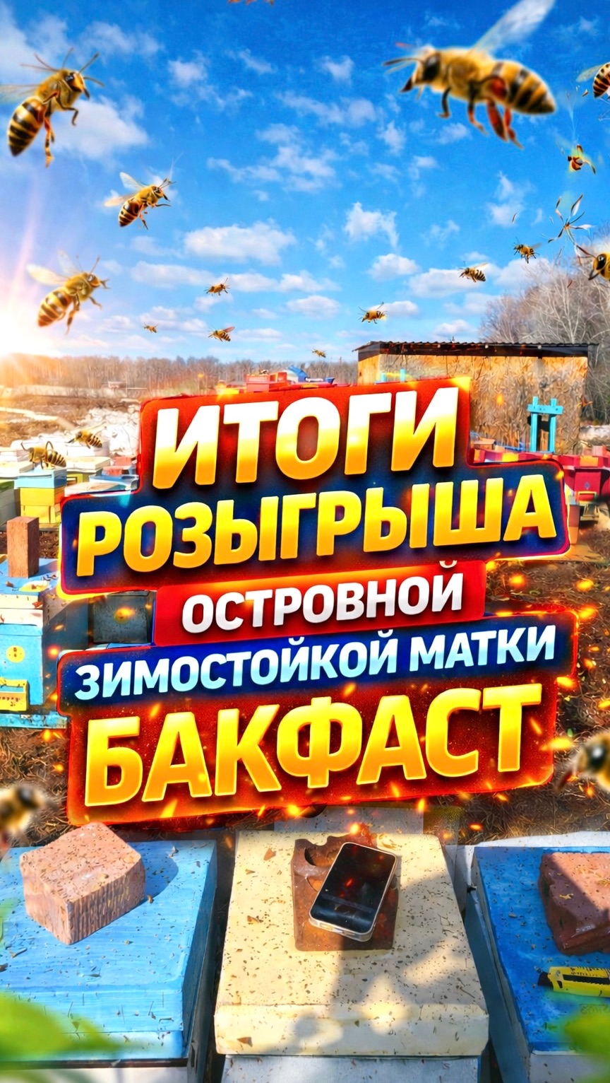 Итоги розыгрыша островной зимостойкой матки Бакфаст!