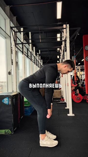 Стройные и подтянутые ноги