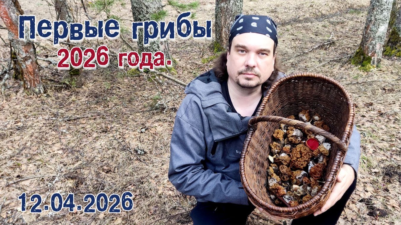 Первые грибы 2026 года.