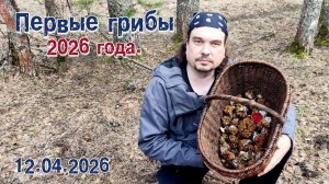 Первые грибы 2026 года.