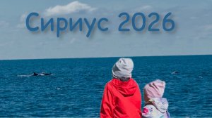 Набережная в Сириусе. Дельфины.