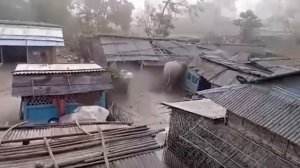 Видео с животными 2026 .Природа Разбушевалась  Невероятные Встречи с Дикими Животными