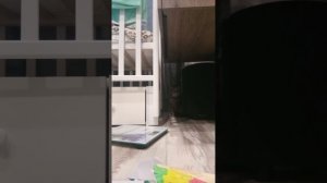 ИГРА С КОШКОЙ 🐱