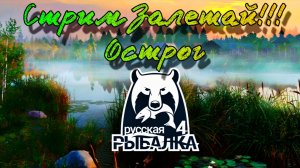 Русская рыбалка 4. Острог. Сегодня пытаемся ловить Щуку и Амуров))