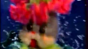 Заичий канкан