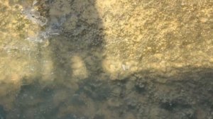 🇮🇹🇮🇹Бриндизи🇮🇹🇮🇹Много рыбы🇮🇹🇮🇹