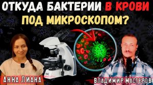 Откуда бактерии в крови под микроскопом? Как очистить кровь? Анна Лиана