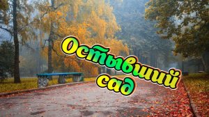 Красивая Музыка,Песни о любви. Остывший сад.