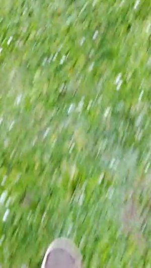 идём в заброшку