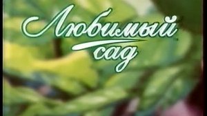 Блоки рекламы и анонсов (ОРТ, 12.04.2002)