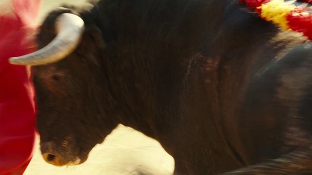 Манолете (фильм, 2008)