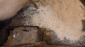 Ждем весну.