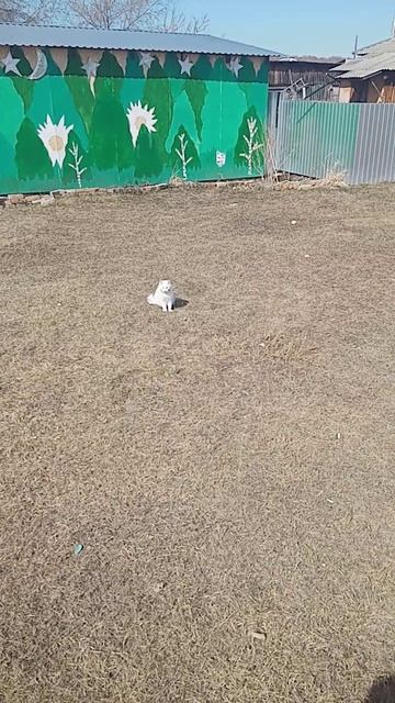 Где-то в России!!!