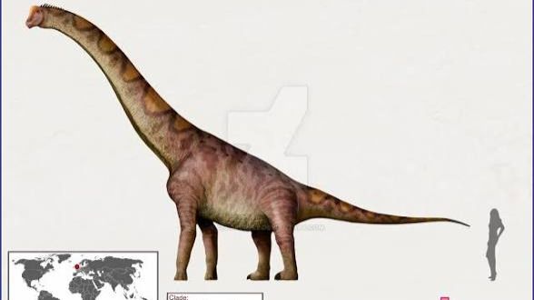 Динодок — динозавр-«ужасный луч»!