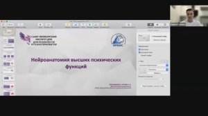 Нейроанатомия высших психических функций 11.04.2026