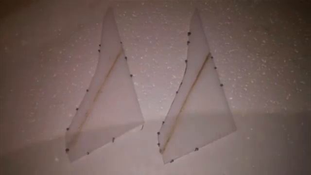 avrora mini f19 2017 год