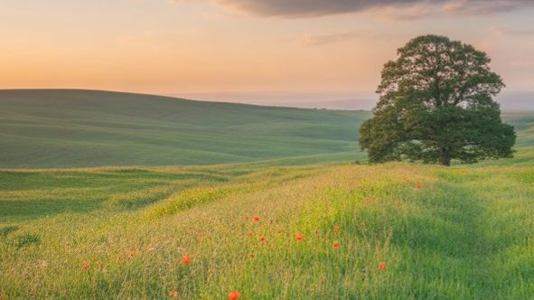 Снова ручейки звенят весенние. Пасхальное служение - 12.04.2026