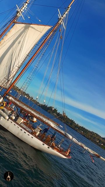 Более века в строю ⛵🌊 Парусная лодка, построенная в 1913 году, до сих пор находится в эксплуатаци