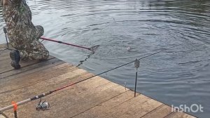 Уловы в Липках