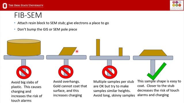 ч1 Cell in semas Электронная микроскопия.mp4