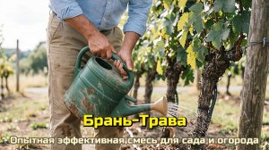 «Брань-Трава». Органическая подкормка  для винограда в биогранулах | Донская лоза