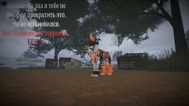 что-ж настала пора знакомить вас с новым учасником канал ну или же вторая ос автора (опис)\WCUE