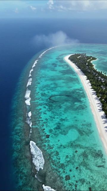 Краски тропического рая: остров и кораллы природа путешествия отпуск