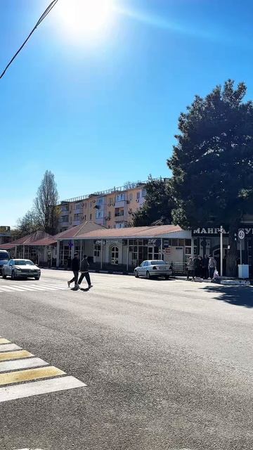 Таймлапс Дубки