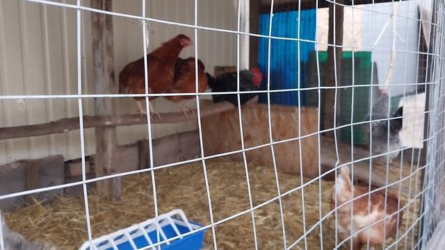 Расстались, так бывает. Жизнь в Деревне до пенсии.