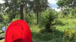 На гору Качканар на трех Racer Panther и Одном Regulmoto