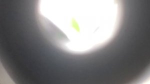 Я щяс встану а ты вылетишь атсюдава