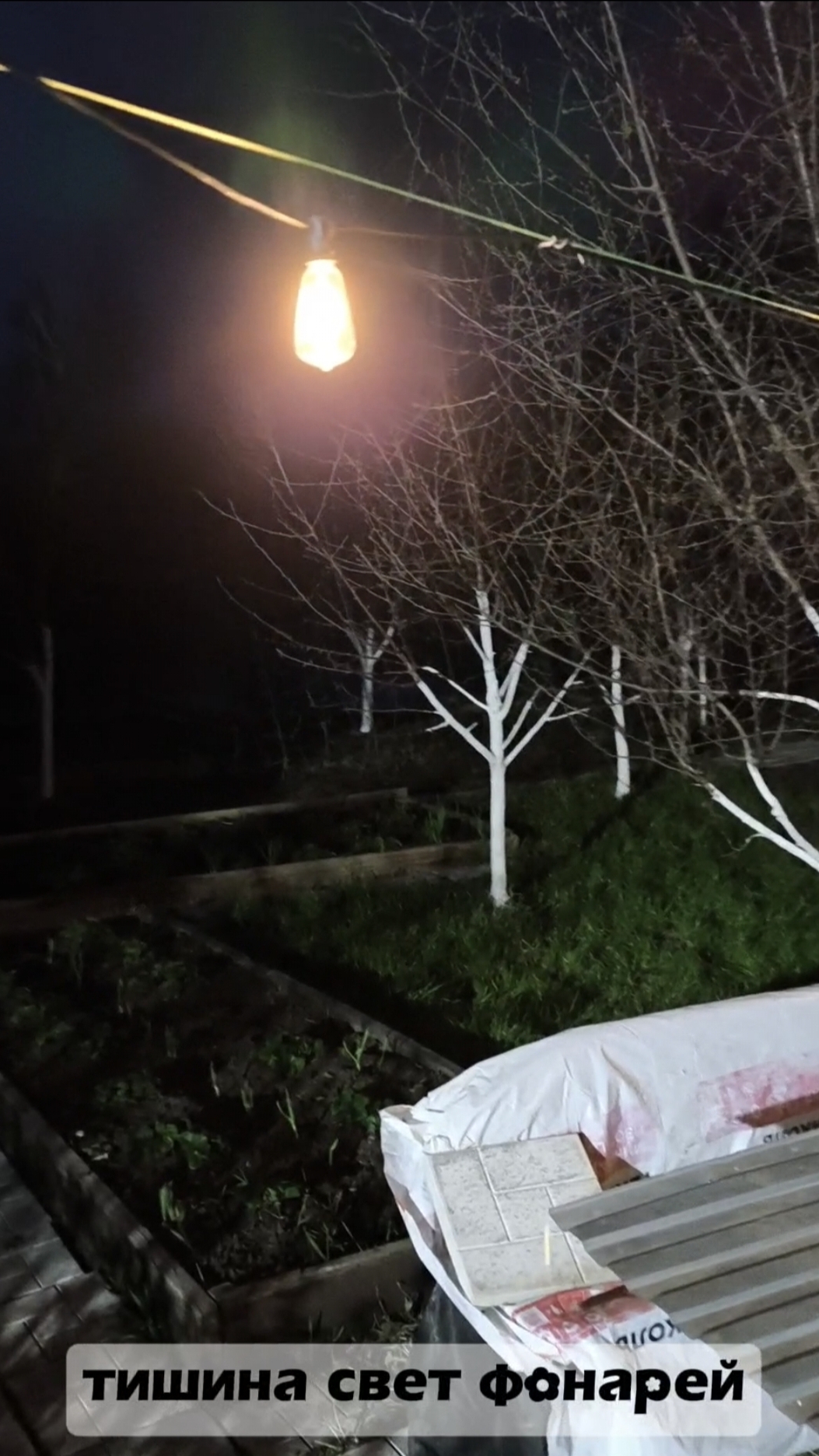 Тишина. Свет фонарей