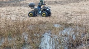 ВЕСЕННИЕ ЛУЖИ НА КВАДРИКЕ