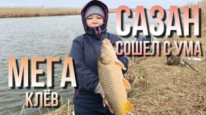 Попали на ЖОР сазана. Рыбалка в Астрахани весна 2026. Рыбалка на донки