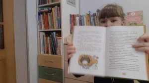 Серия книг Хон Мин Джона про Камняма