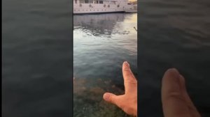 Телекинез доктора А. Затеева