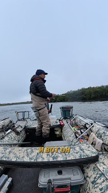 Кижуч с лодки, Камчатка: ланч-бокс, остров, подсак