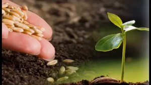 Обновление энергий поджелудочной железы. 08.04.26.